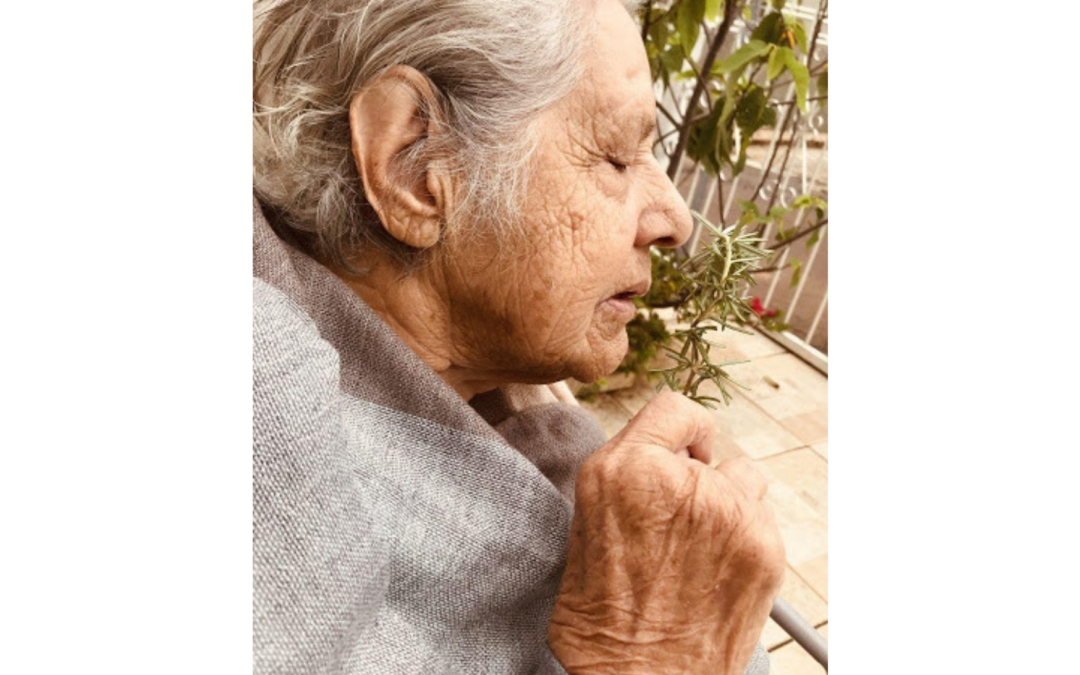 Conexões verdadeiras. Imagem de uma mulher 60+ com uma planta.